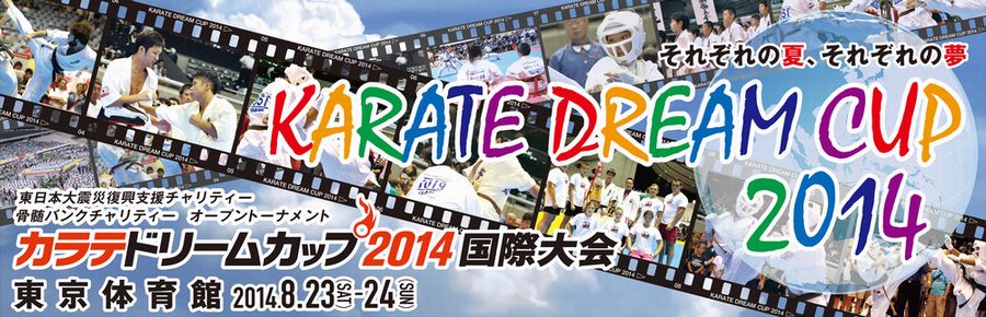 2014DreamcupI