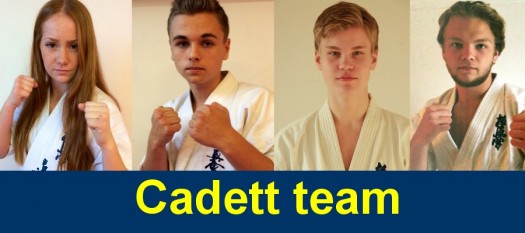 cadett-team-20141-525x233