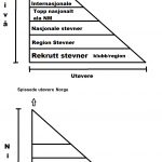 stevnestruktur